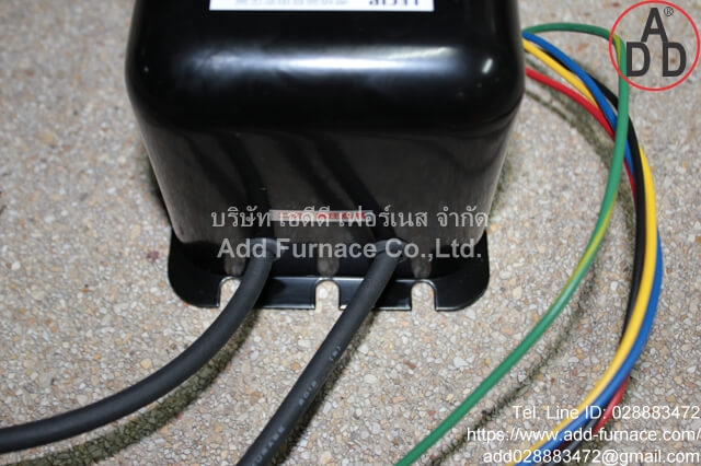 LECIP G10M23-ZC ignition transformer (4)